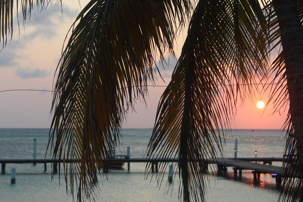 Hotel Aruba Surfside Marina Oranjestad