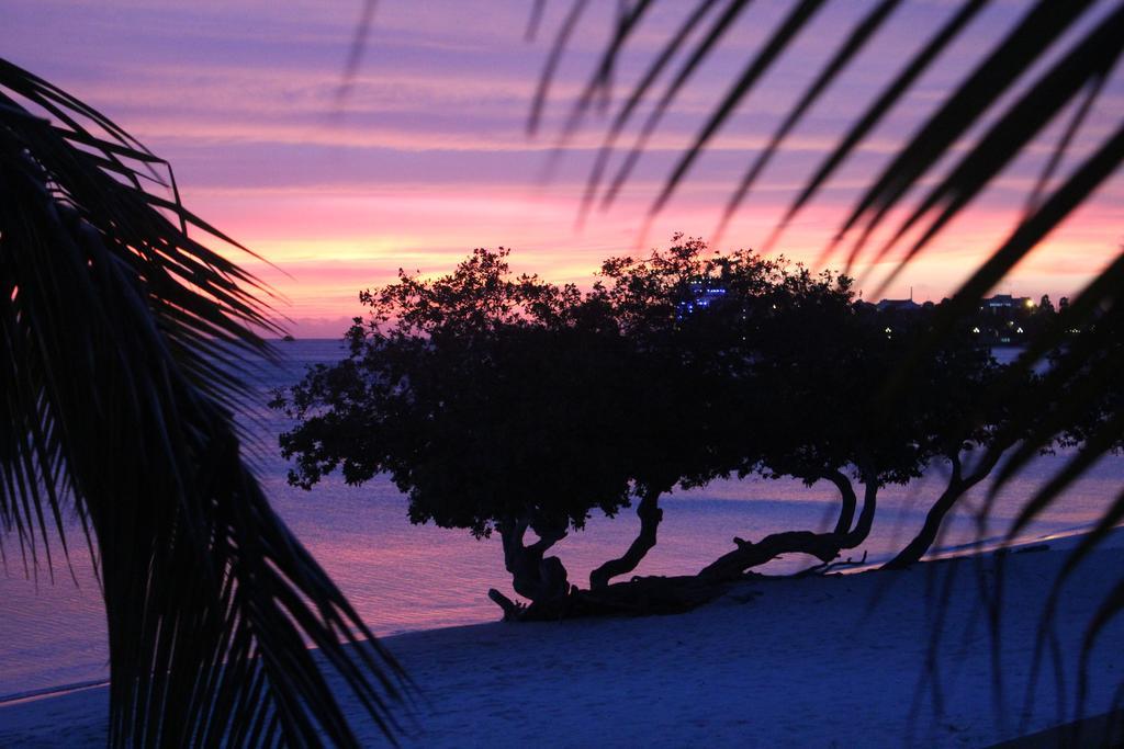 Aruba Surfside Marina Oranjestad