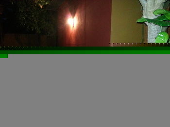 Flamboyant Garden 4*
