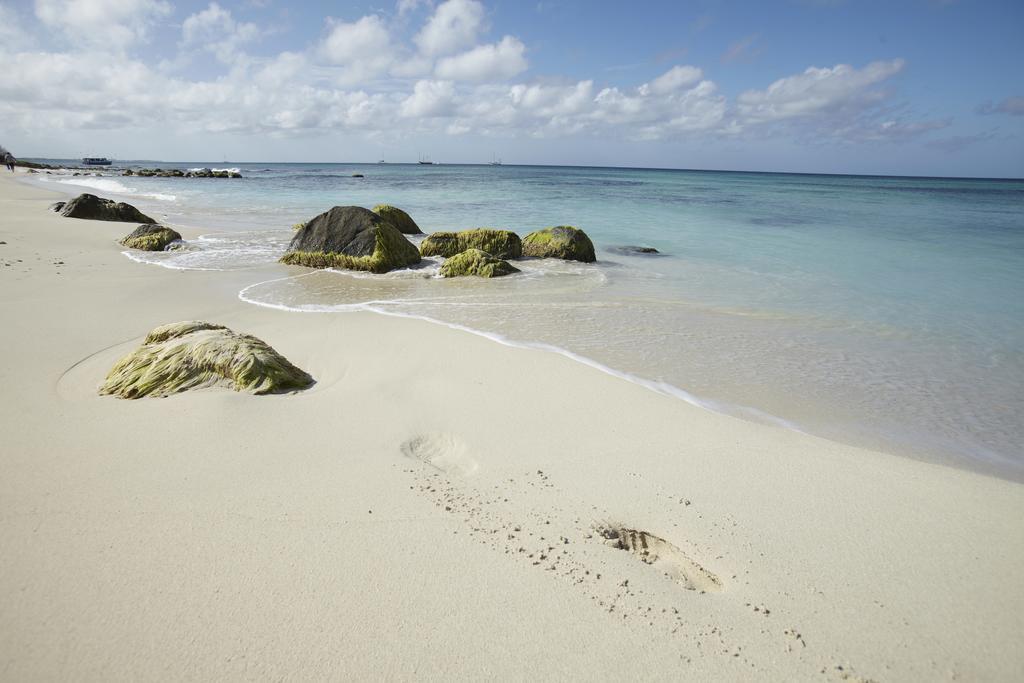 Homestay Bougainvillea Aruba Rumba *