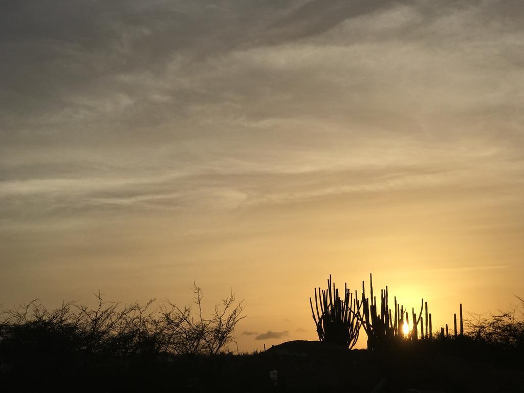 The Googy Villas Aruba - Googy 3b * Paradera