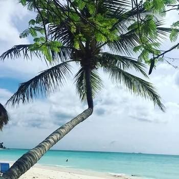 Tropical Digs Oranjestad