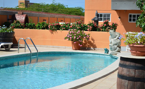 King David Palm Beach