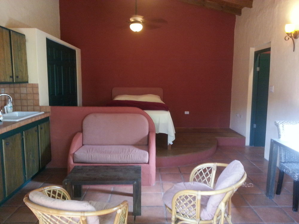 Aparthotel Flamboyant Garden