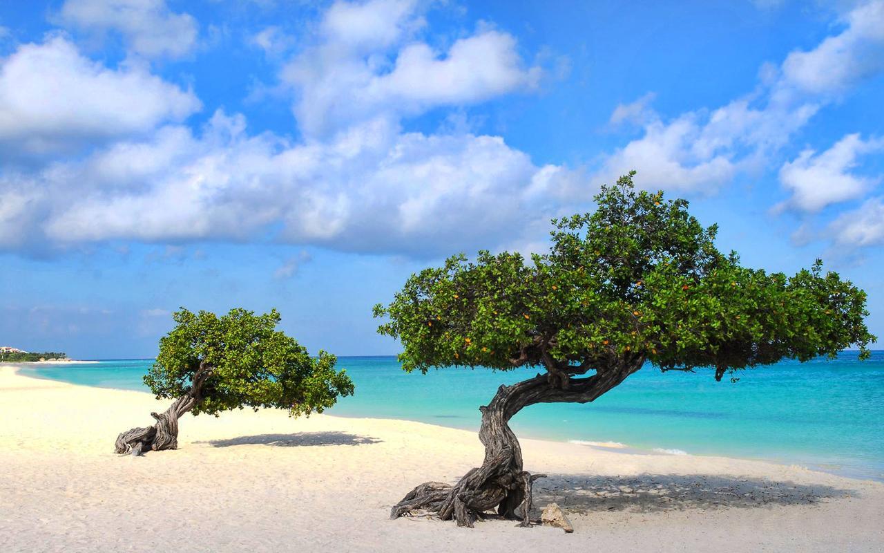 Guest house Buddha Aruba 2*