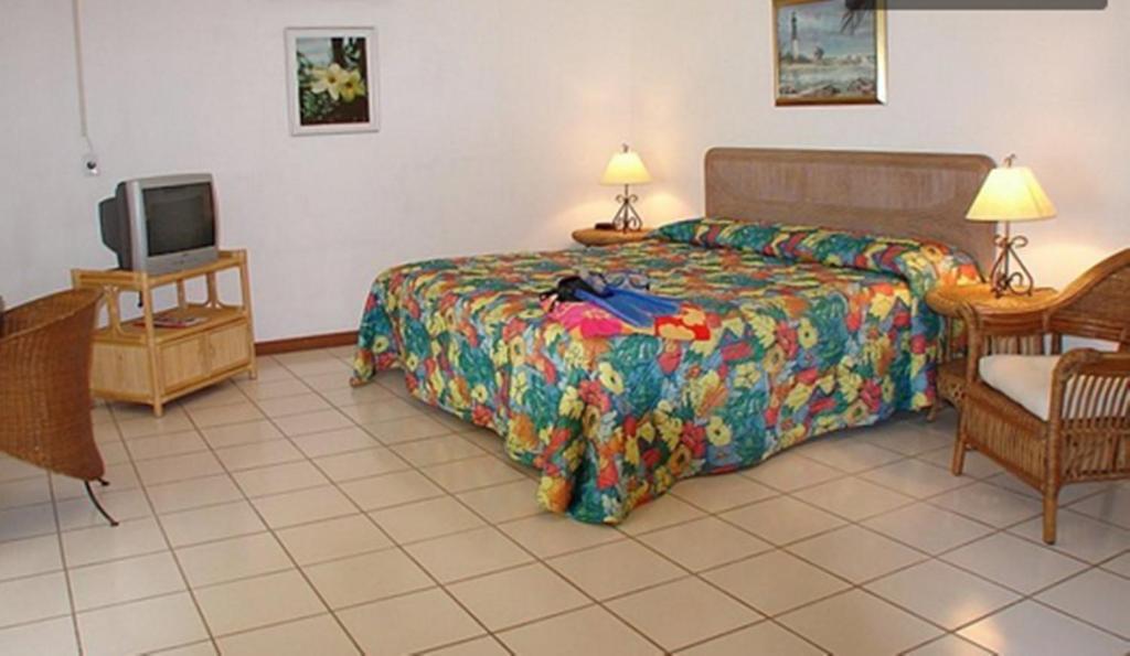 Aruba Palm Beach