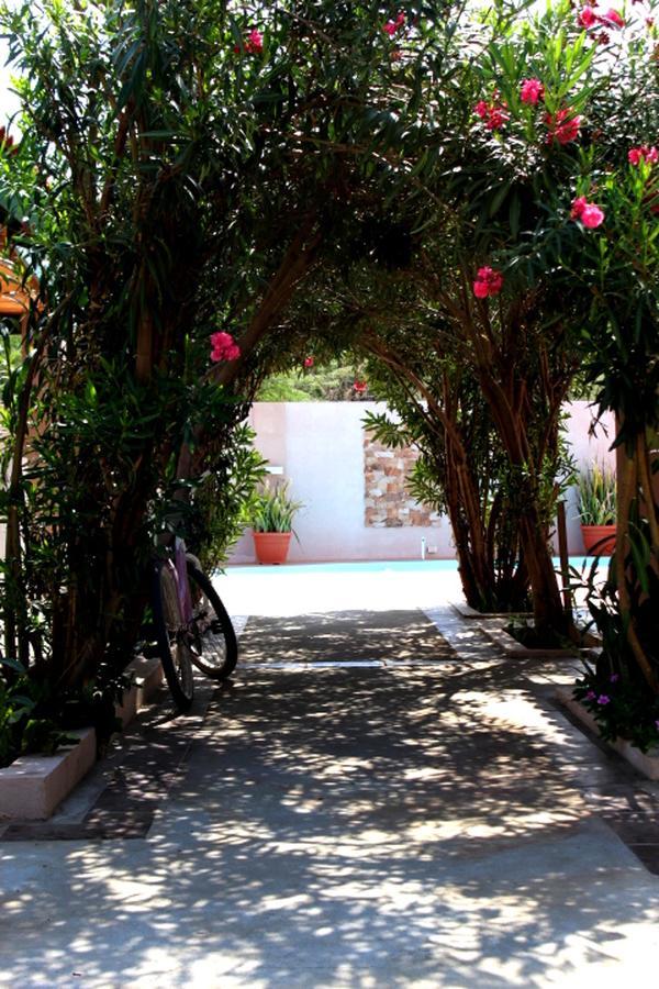 Apartment Norrol Aruba Oranjestad