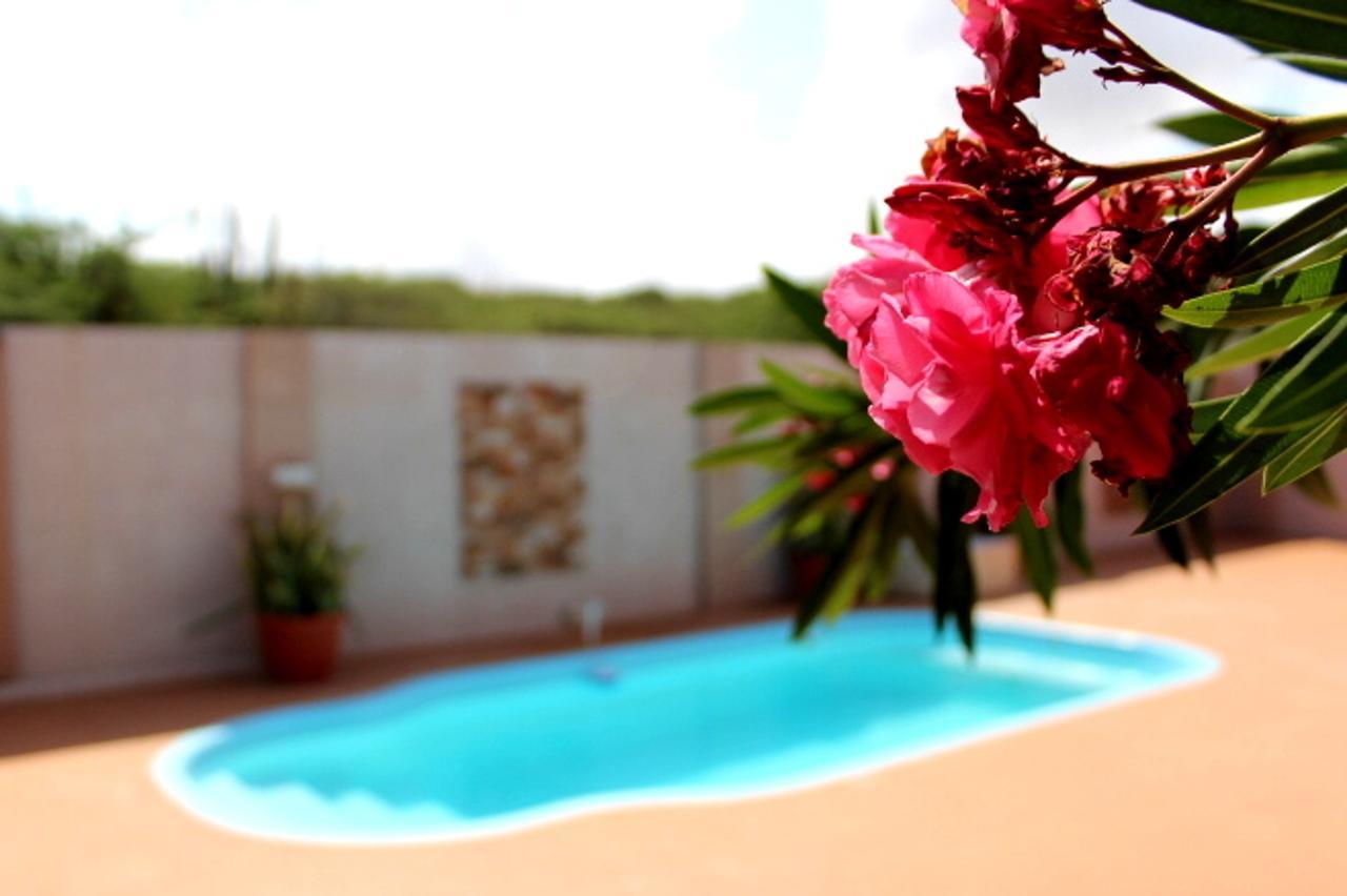 Norrol Aruba Apartment *