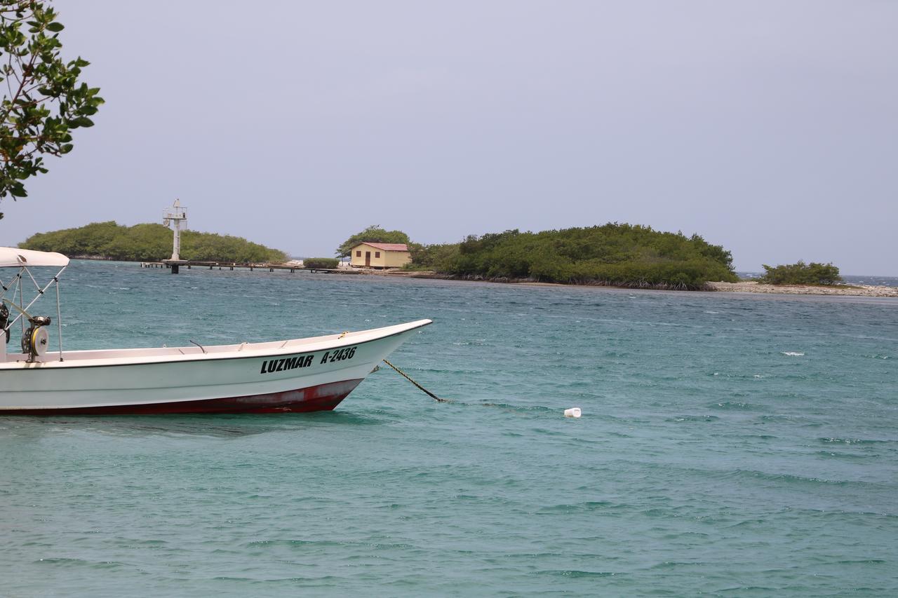 Coral Reef 3*