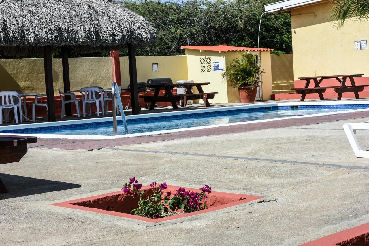 Coconut Hotel 3*