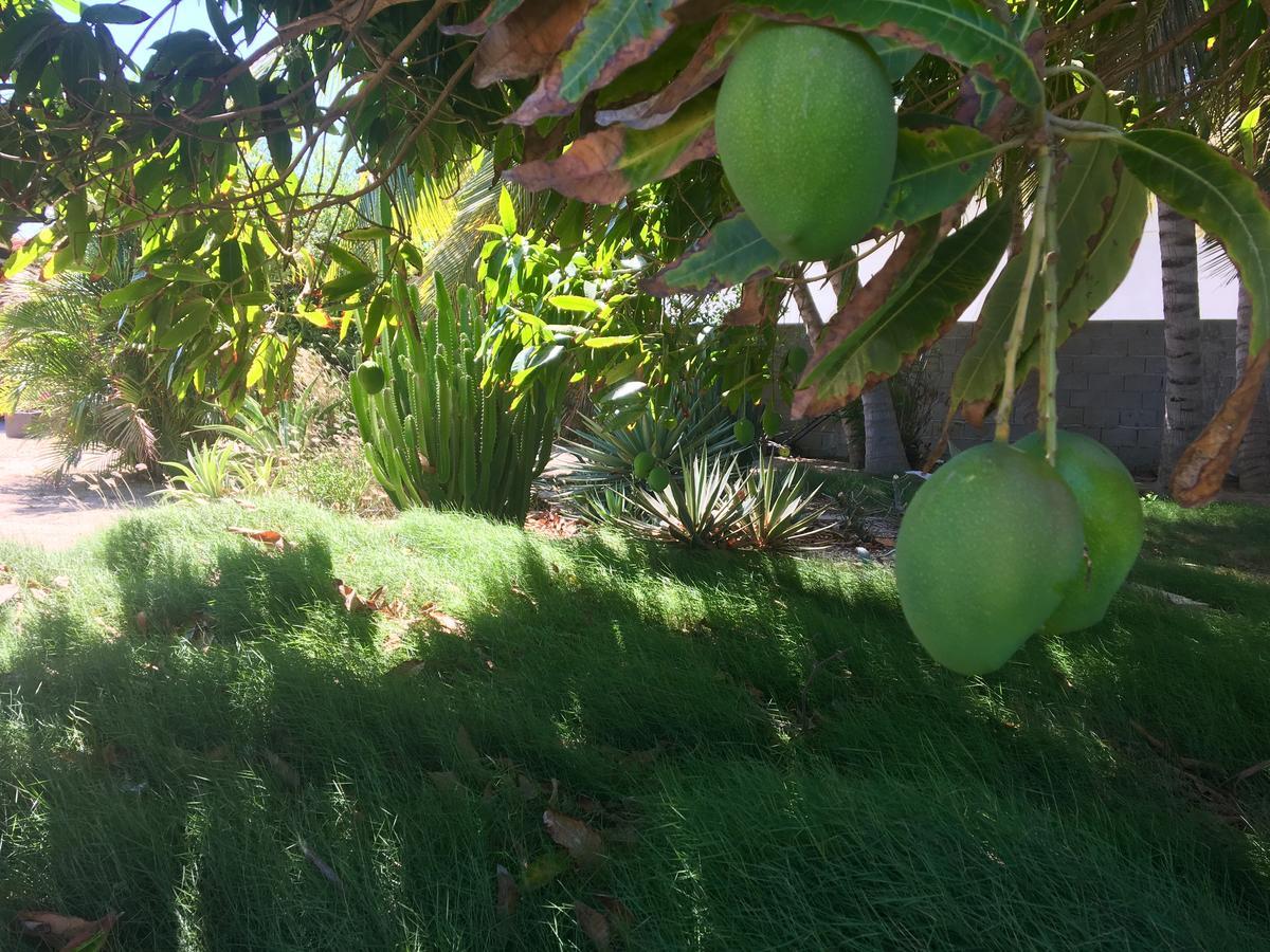 Bubali Gardens Palm Beach