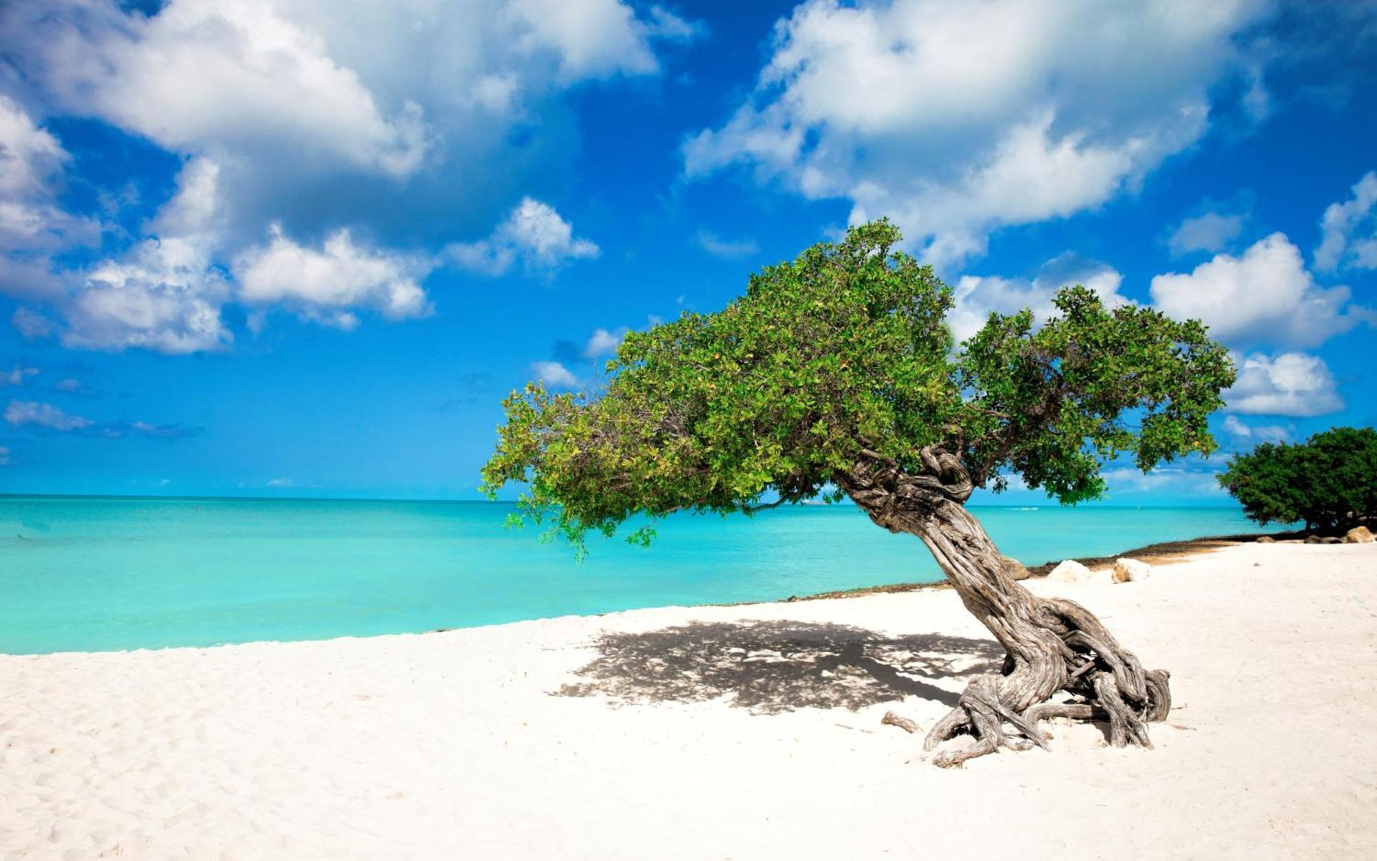 Aruba Oranjestad
