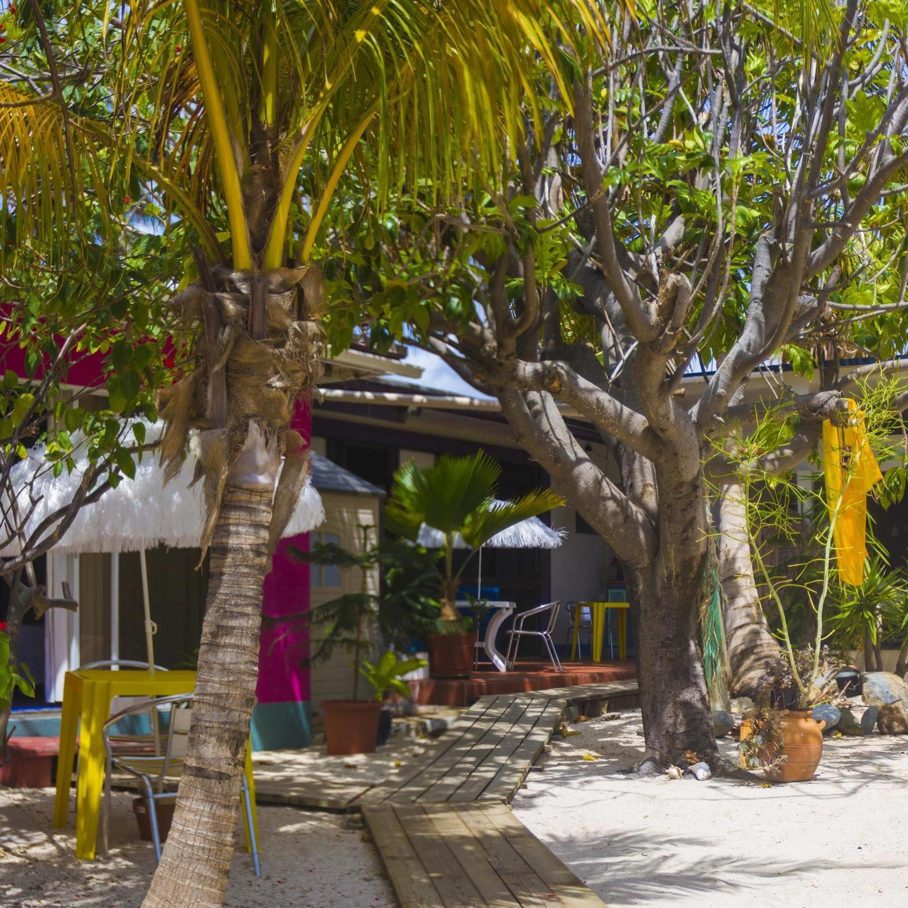 Beach House Aruba Apartments Palm Beach