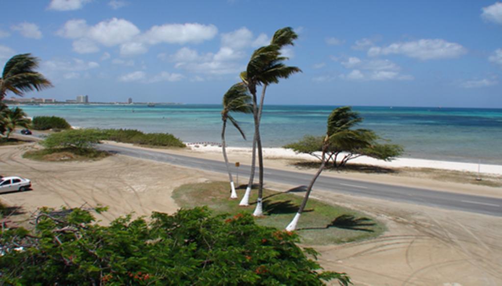 Aruba Palm Beach