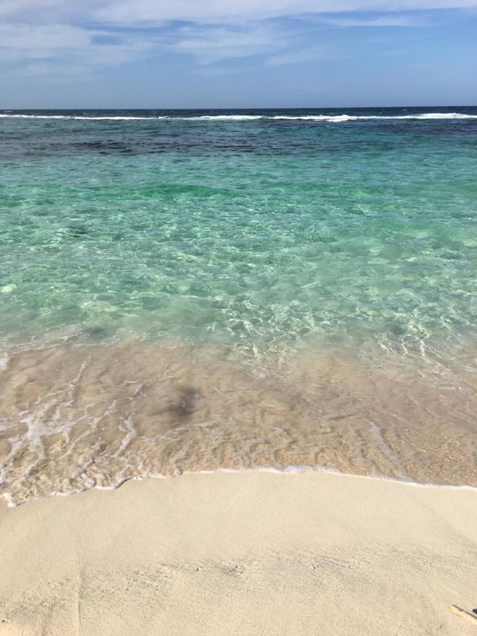 Aruba Stop By The Stop Club * Palm Beach