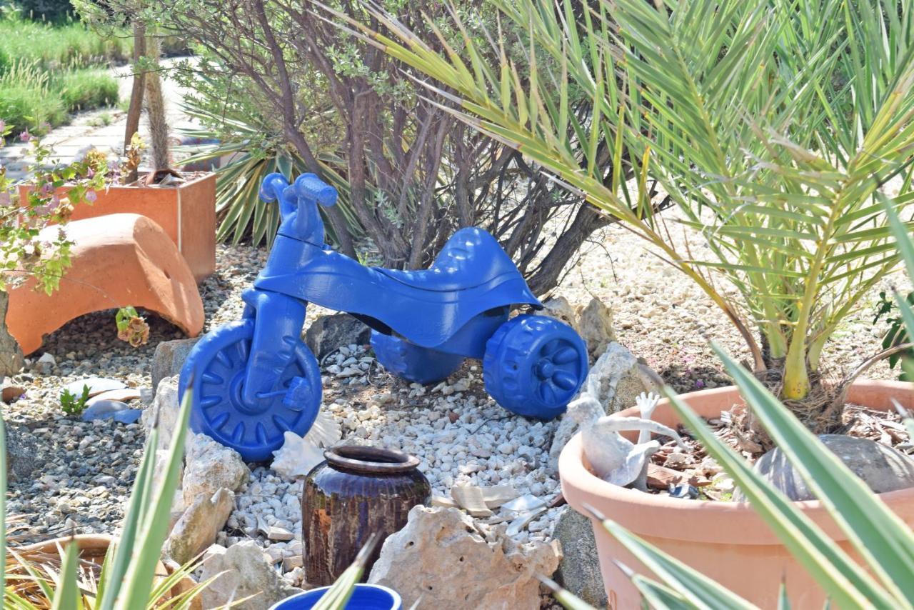 Homestay Bougainvillea Aruba Rumba *