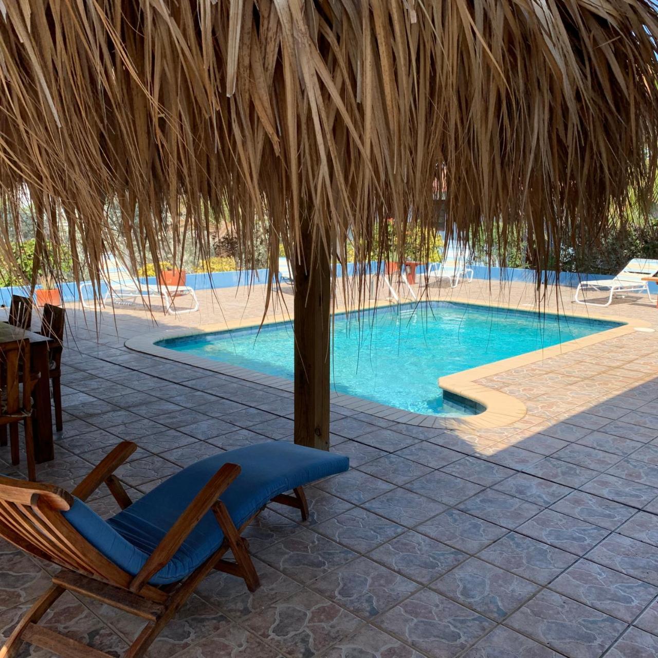 Villa A Beautiful Aruba Salina Cerca Palm Beach
