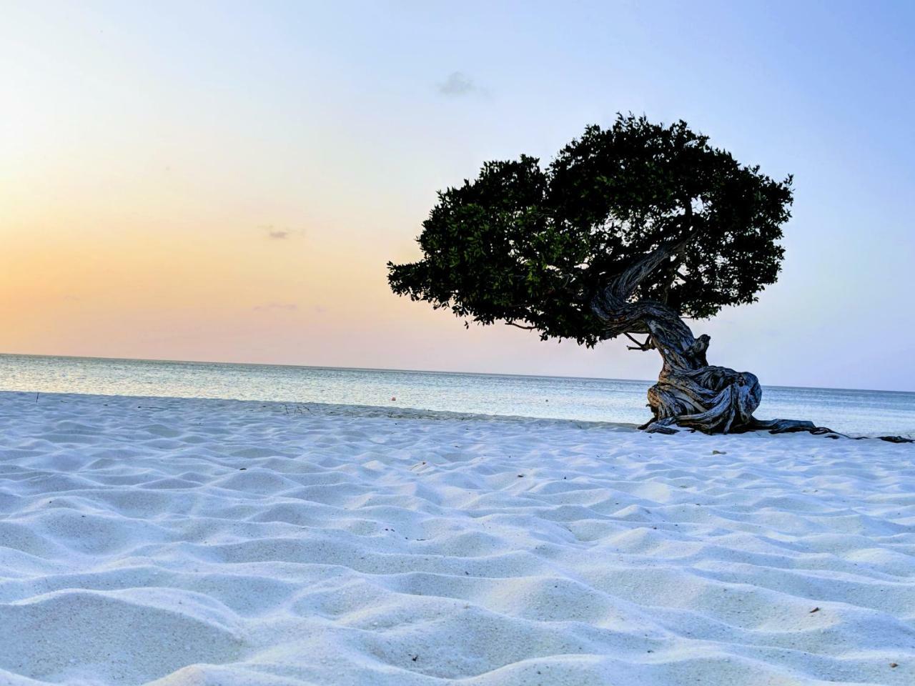 Aruba 2*