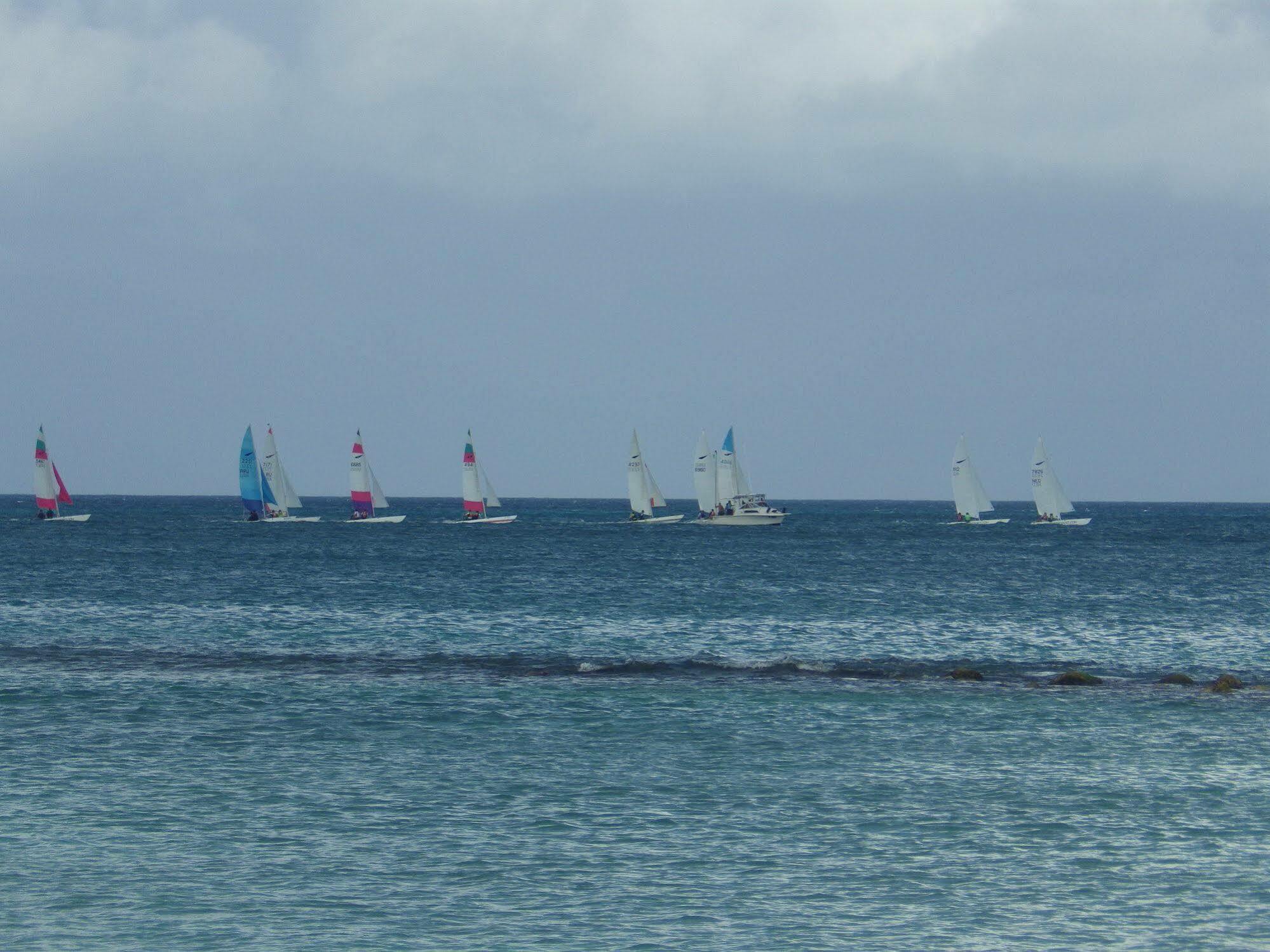 Aruba Cunucu 3* Palm Beach