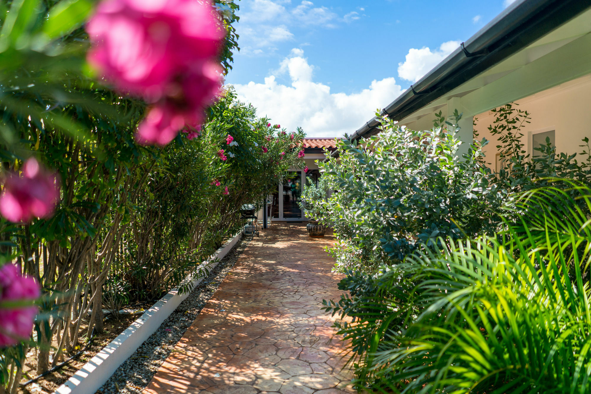 Cas Elizabeth Guest house