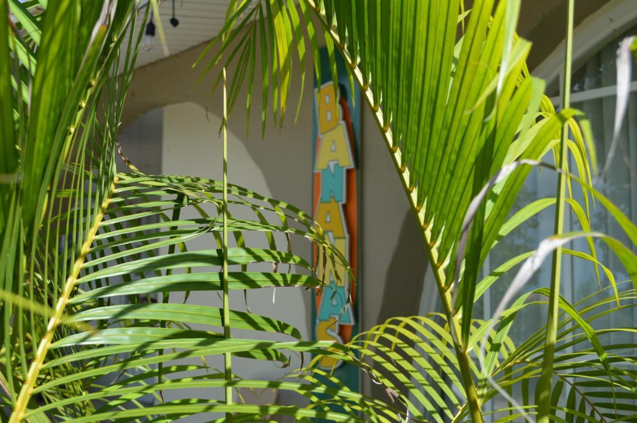 Bananas * Palm Beach