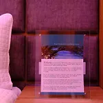 Victoria City Hotel