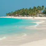 Tropical Digs
