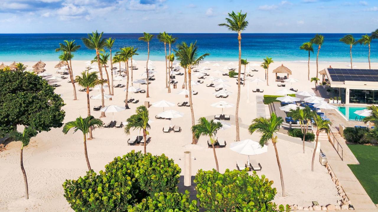 Bucuti & Tara Boutique - Adult Only Resort Palm Beach