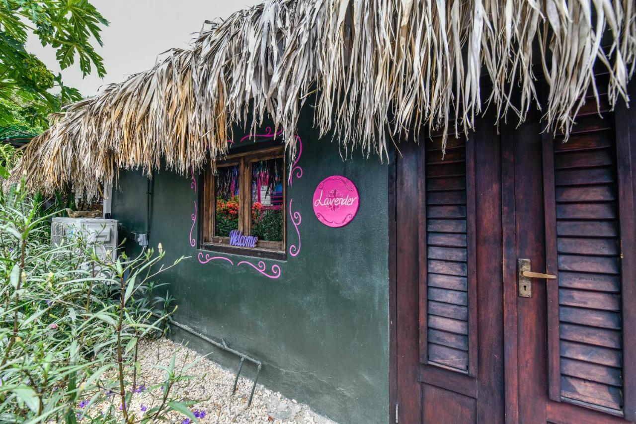 Mammaloe Bed & Breakfast Oranjestad