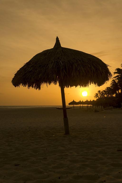 - Divi Dutch Village Resort