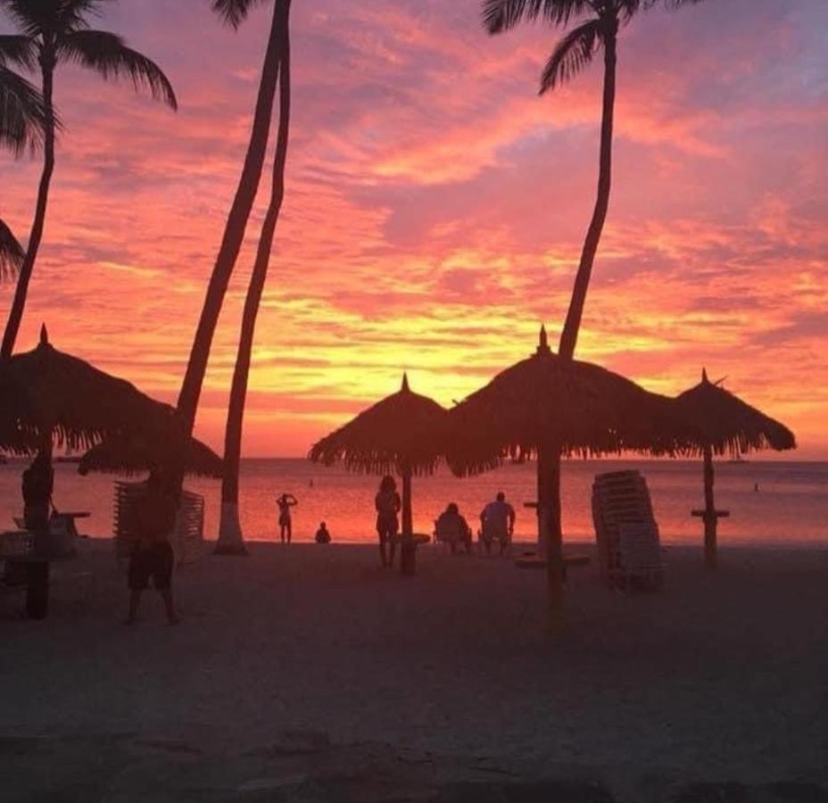 Divi Aruba Phoenix 4* Palm Beach