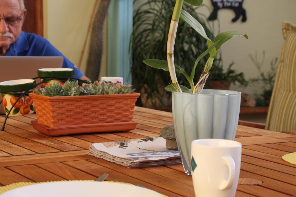 Hidden Eden Aruba Bed And Breakfast 3* Oranjestad