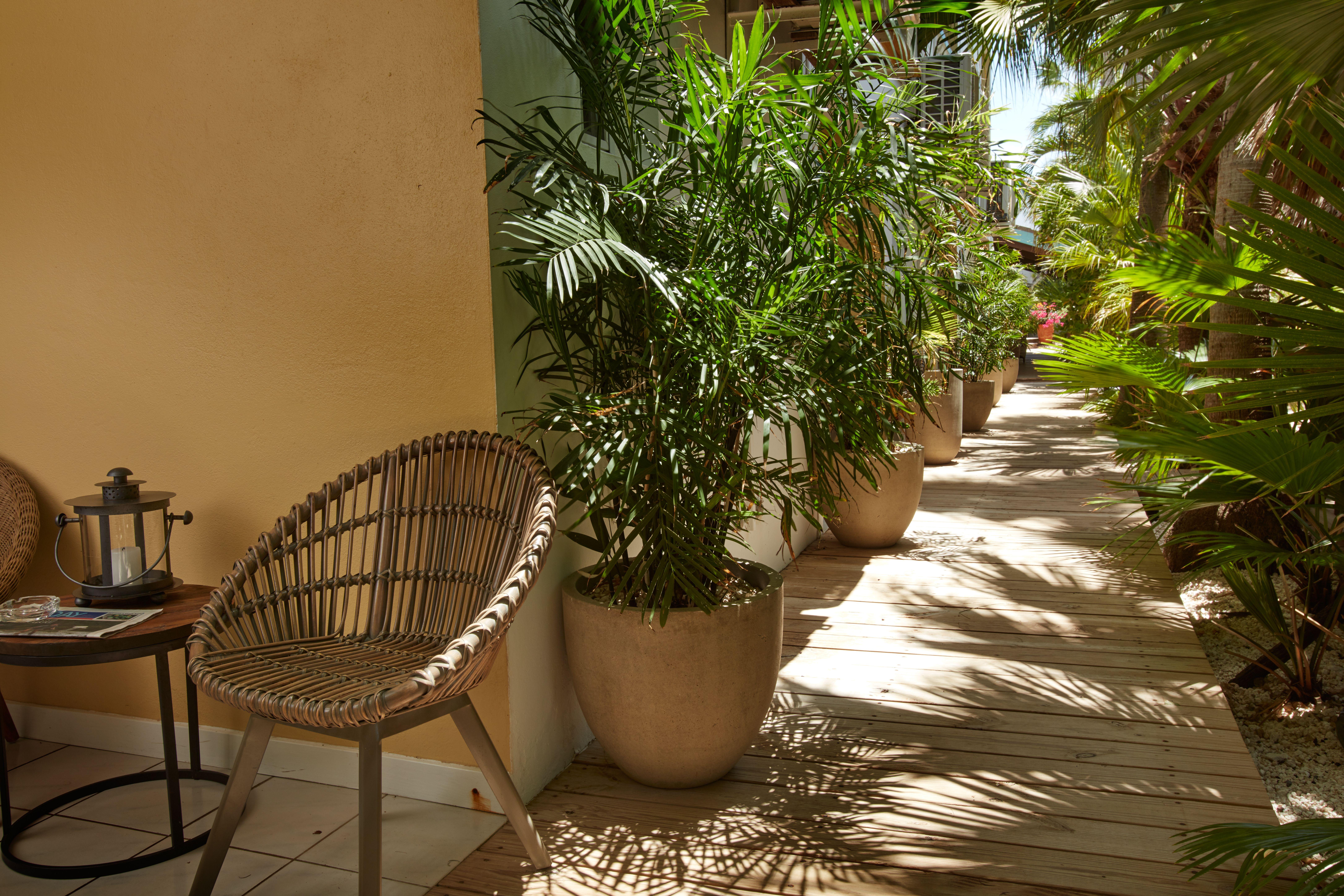 Paradera Park Aruba 3*