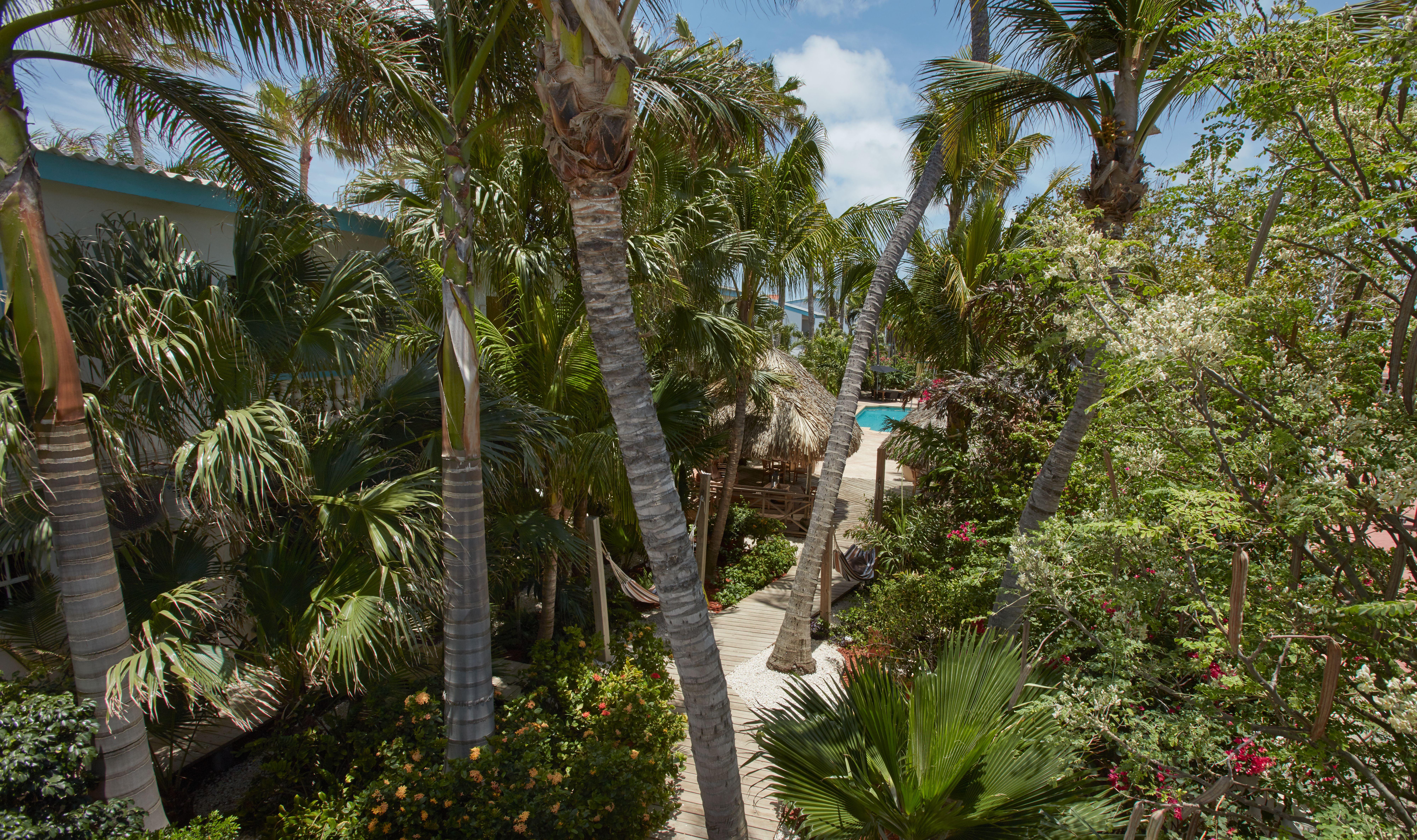 Paradera Park Aruba Aparthotel