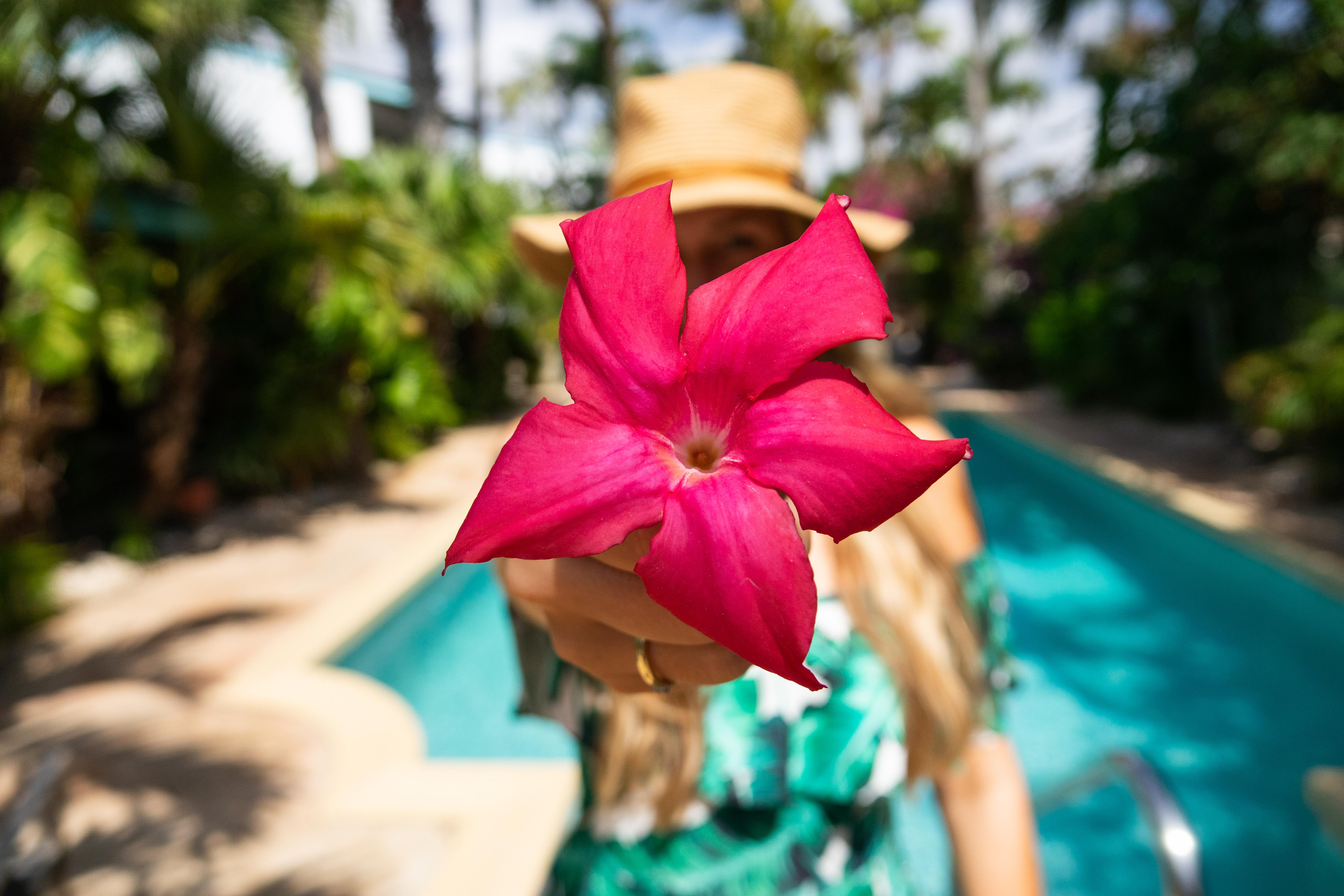 Paradera Park Aruba 3*