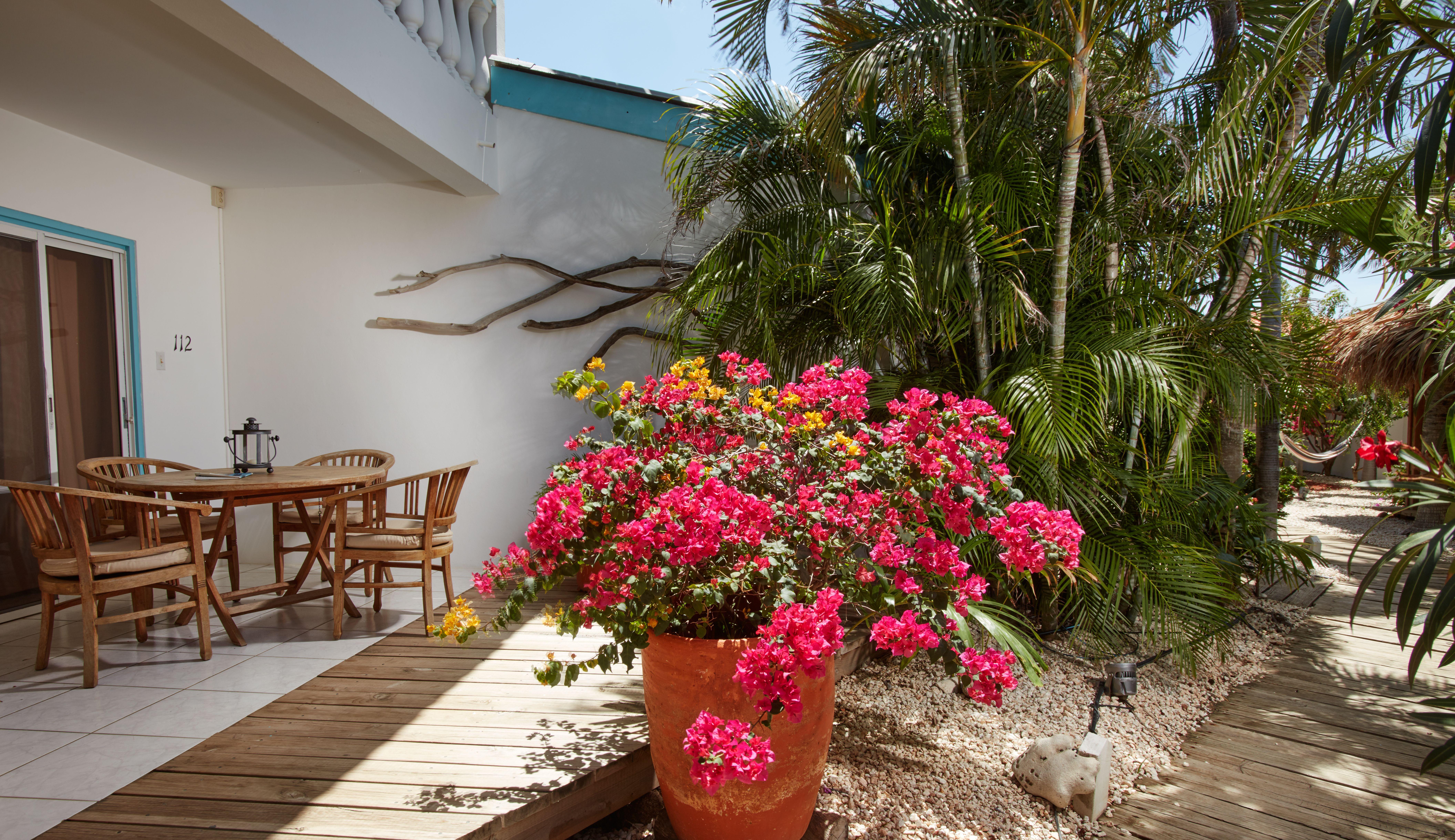 Paradera Park Aruba 3* Oranjestad