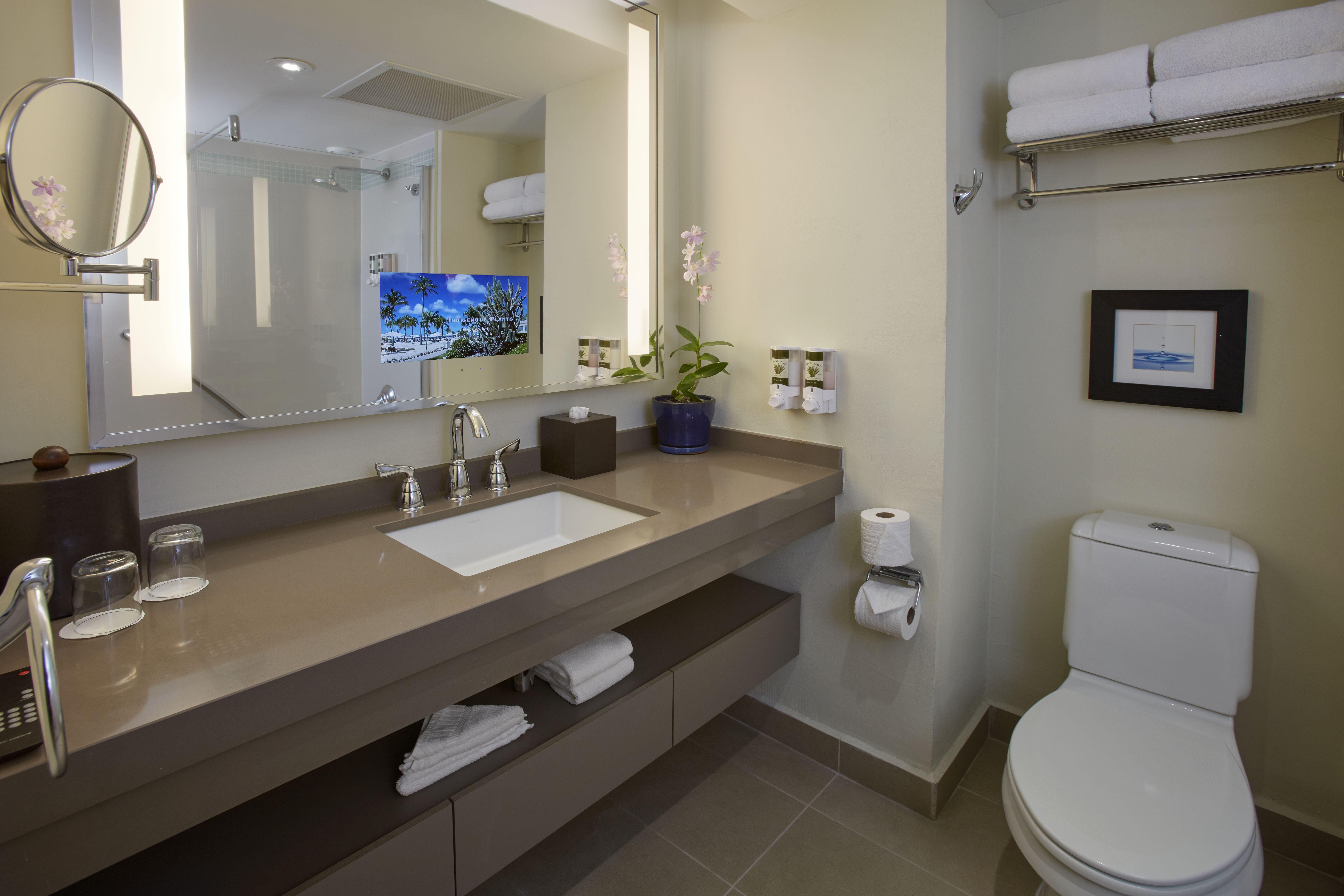 Bucuti & Tara Boutique - Adult Only Resort Palm Beach