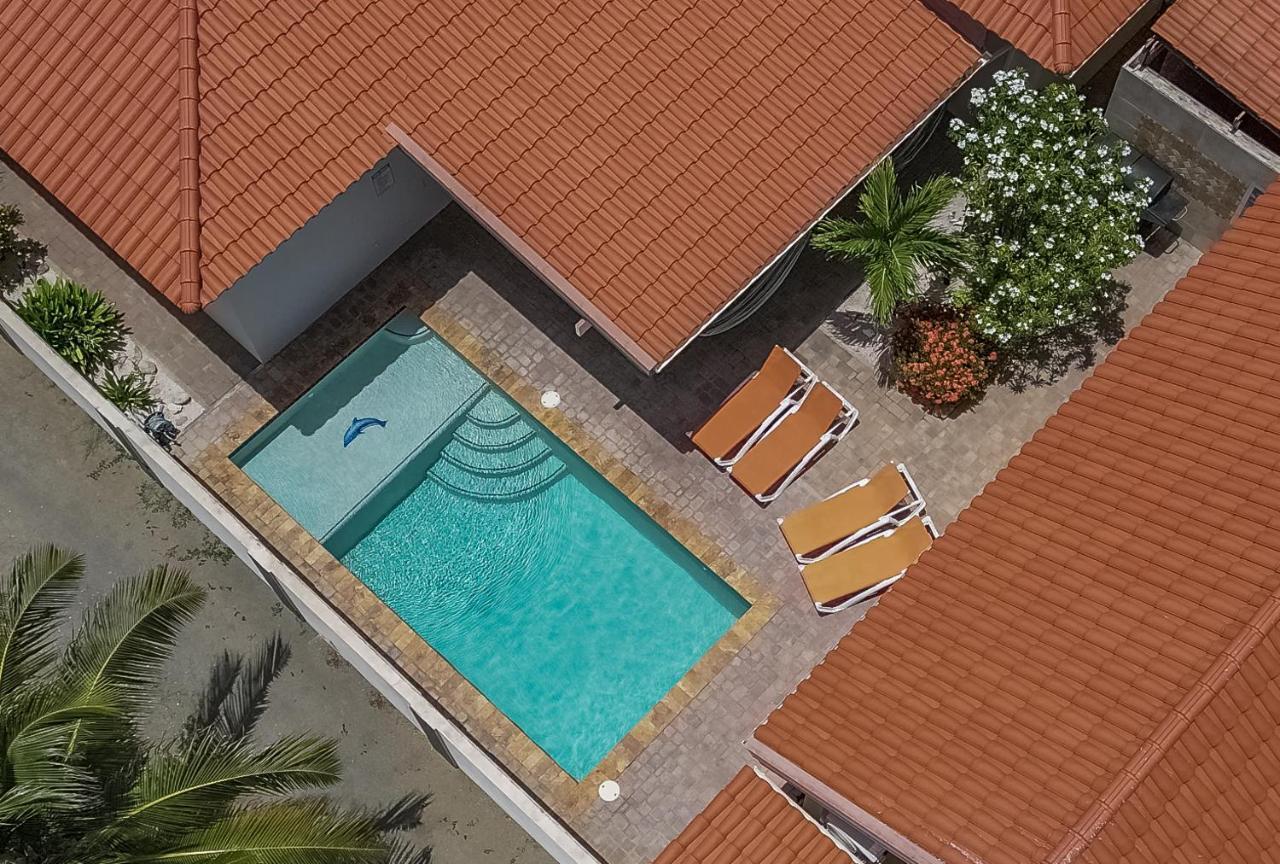 Swiss Paradise With Private Pool Villa Palm Beach