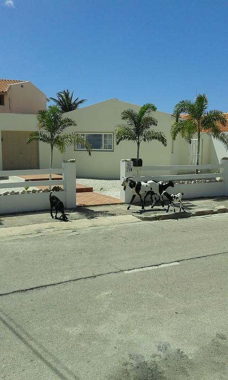 Karibu Aruba