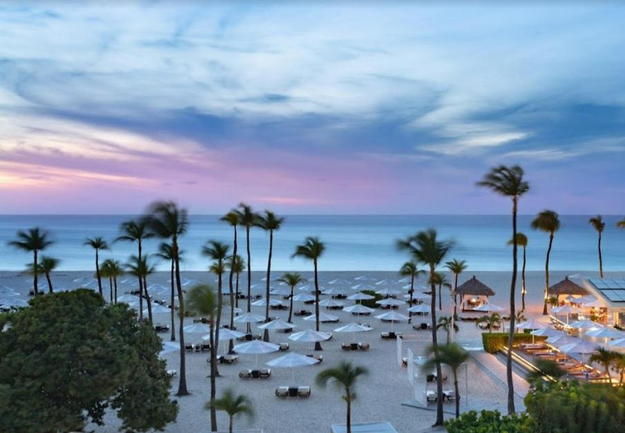 Resort Bucuti & Tara Boutique - Adult Only Palm Beach