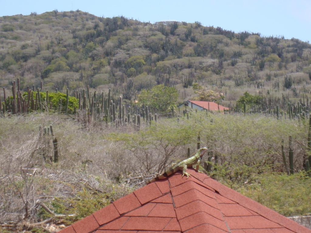 Bed & Breakfast Fuego Mio 3*