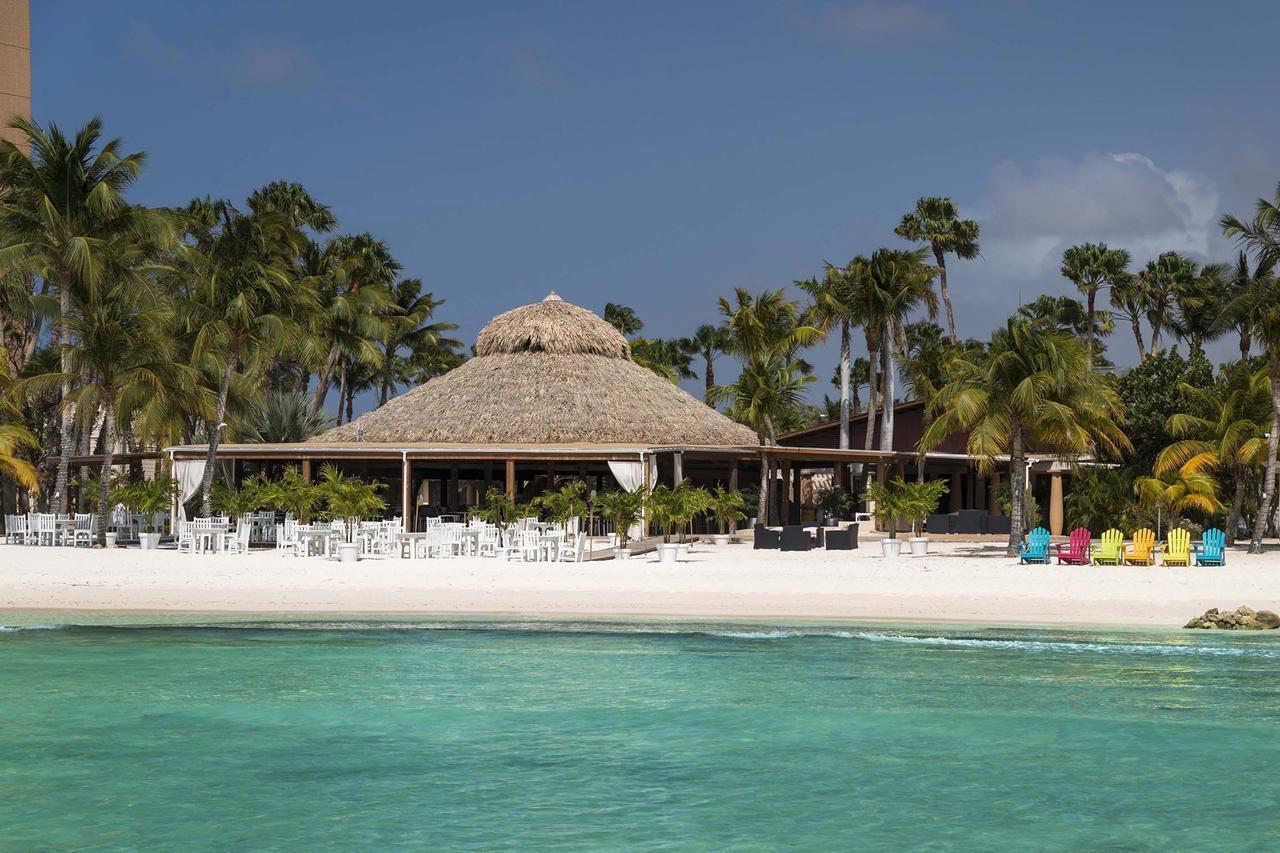 Divi Aruba Phoenix