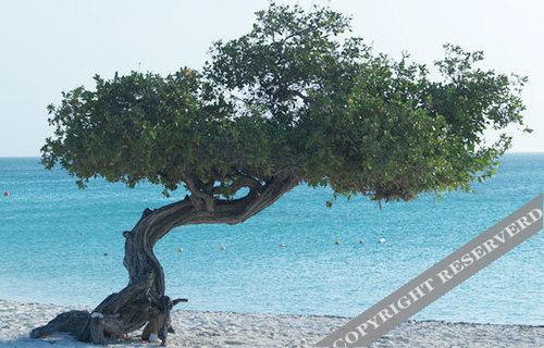 Costa Linda Beach