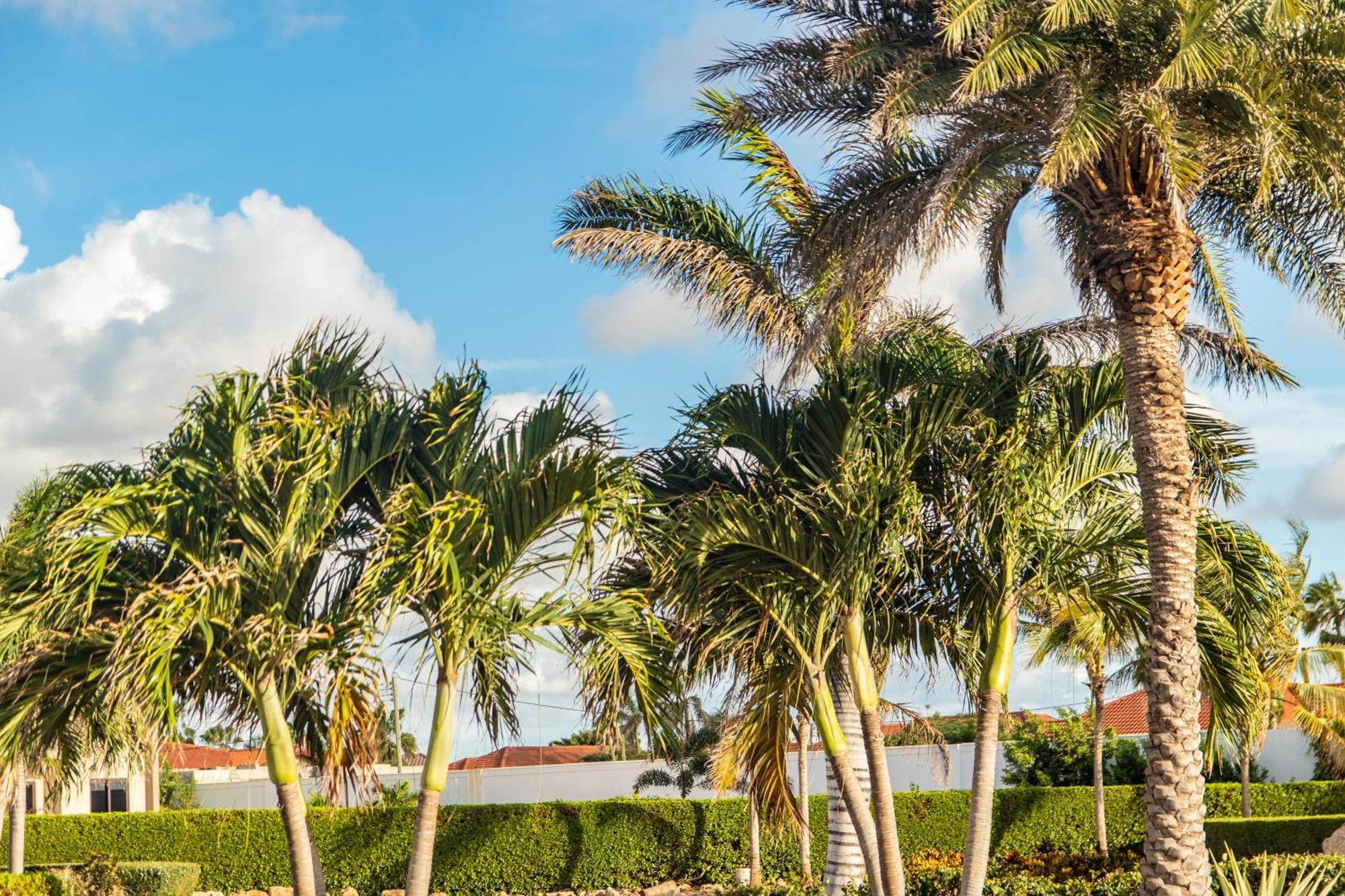 Bocobay Gold Coast Palm Beach