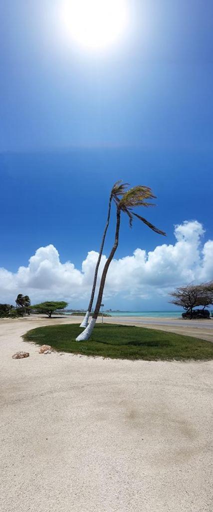 Campo de férias Aruba 3*