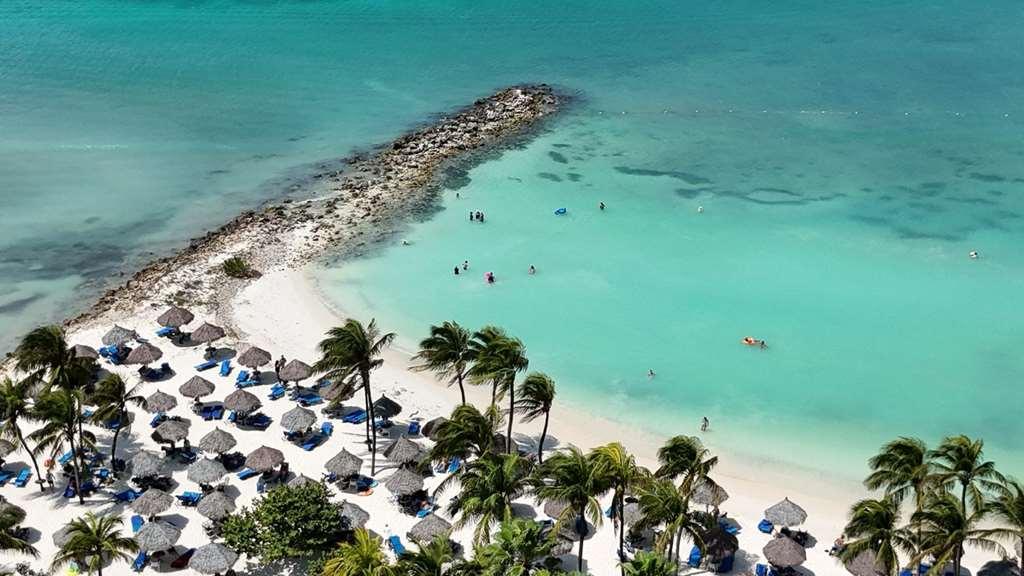 Divi Aruba Phoenix