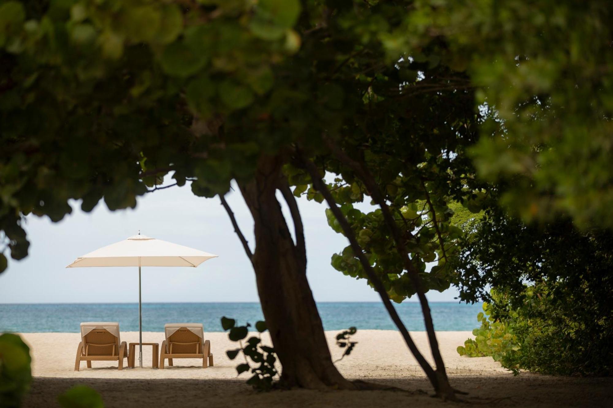 Joia Aruba By Iberostar 5*