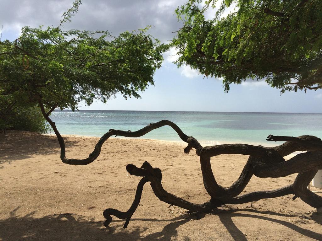 Easylife Aruba Savaneta