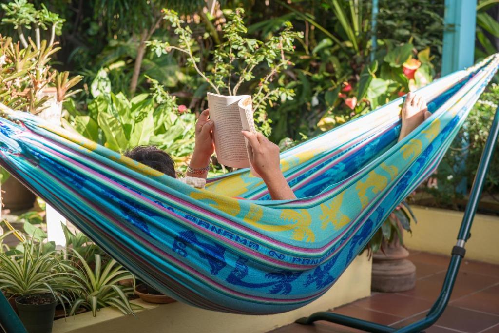 Hidden Eden Aruba Bed And Breakfast Oranjestad