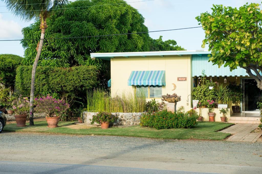Bed & Breakfast Hidden Eden Aruba Bed And Breakfast Oranjestad